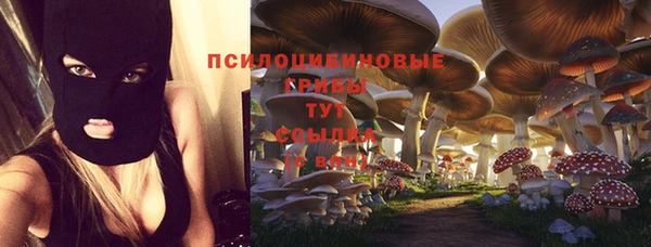 гашик Медногорск