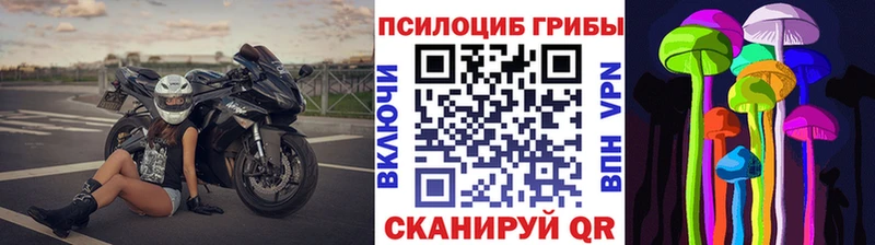 Псилоцибиновые грибы GOLDEN TEACHER Ахтырский